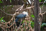 DSC_9043.JPG